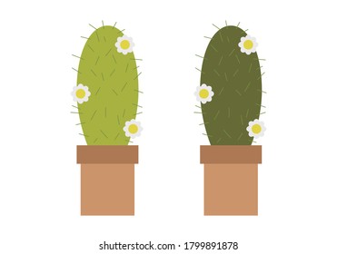Cactus with flowers in some pots.