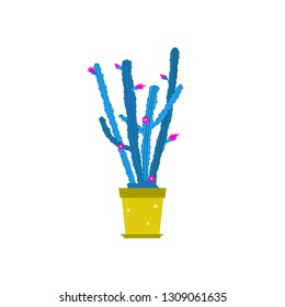 Cactus with flowers. Vector illustration of on white.