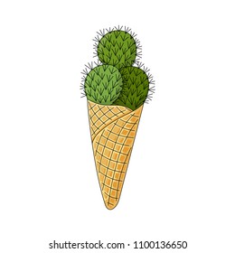 Cactus in the form of ice cream balls. Funny ice cream in the horn. Succulent in cartoon style on a white background. Hand drawing. Vector illustration. Succulent isolated.