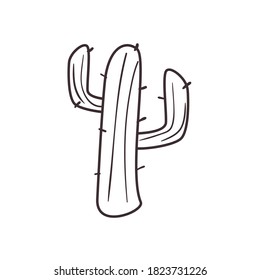 Cactus free form line style icon design, Plant desert nature tropical summer mexico and western theme Vector illustration