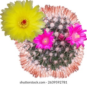 cactus fruit stalk and leaf1