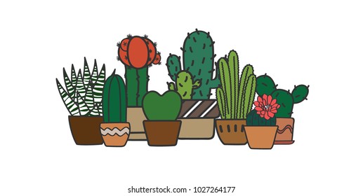 The Cactus Garden 