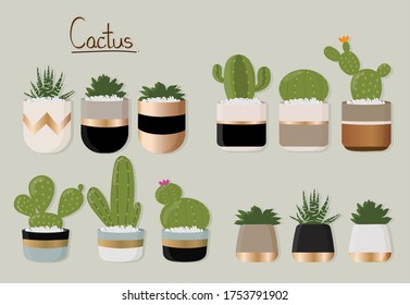 the cactus garden minimal design