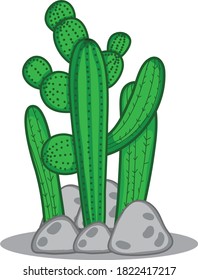 Cactus Garden vector art and illustration