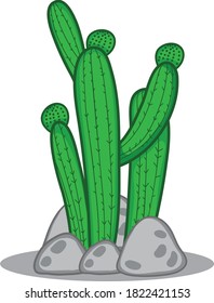 Cactus Garden vector art and illustration