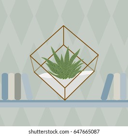 cactus in geometric terrarium on the book shelf background