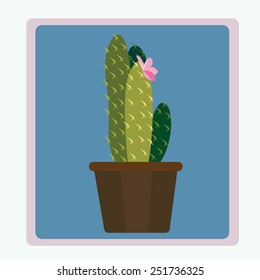 cactus green 1