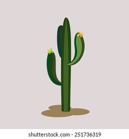 cactus green 3