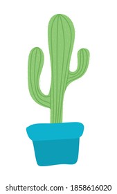 cactus of green color icon on white background vector illustration design