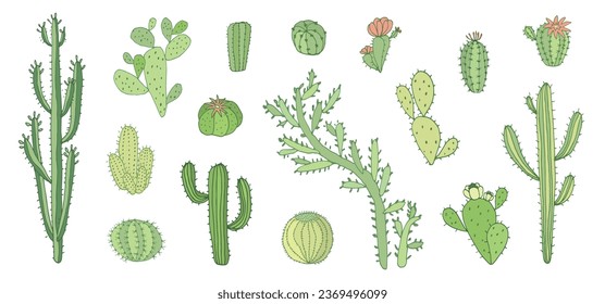 Cactus green doodle vector illustrations set.