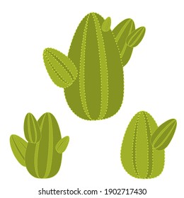 Cactus green, exotic plant, botany vector illustration