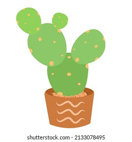 Cactus green and illustration vector 
