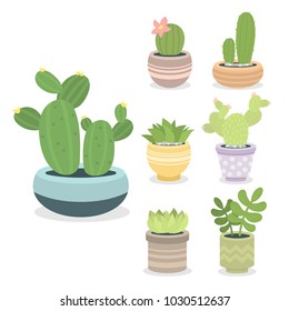 Cactus green plant cactaceous home nature cacti vector illustration of tree with flower