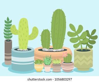 Cactus green plant cactaceous home nature cacti vector illustration of tree with flower