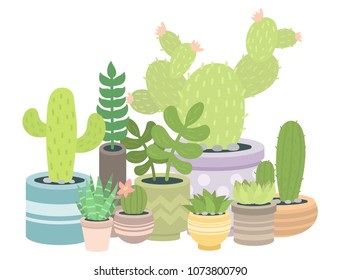 Cactus green plant cactaceous home nature cacti vector illustration of tree with flower