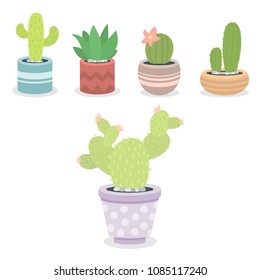 Cactus green plant cactaceous home nature cacti vector illustration of tree with flower