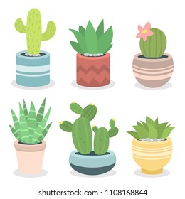 Cactus green plant cactaceous home nature cacti vector illustration of tree with flower