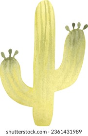cactus green plant flower floral