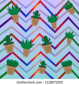 cactus green prickly bright background