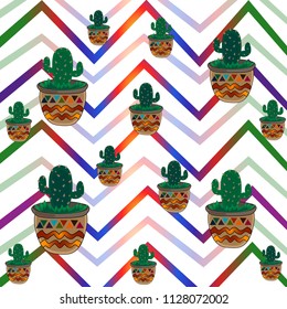 cactus green prickly bright pot background