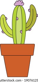 cactus green thorns pot clay
