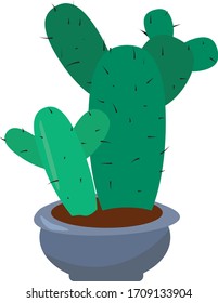 Cactus green vector. Cactus nature postcard. room flower. Home gardening. 