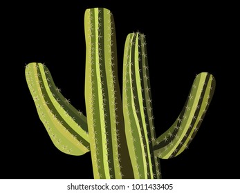 Cactus. Green Vector Cactus. Prickly Tree with Needles. Cactus for Web Design, Wallpapers, Illustrations, Postcards, Invitations, Textile, Fabrics, Tiles, Posters, Banners. Beautiful Realistic Cactus.