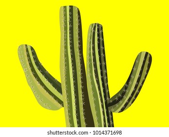 Cactus. Green Vector Cactus. Prickly Tree with Needles. Cactus for Web Design, Wallpapers, Illustrations, Postcards, Invitations, Textile, Fabrics, Tiles, Posters, Banners. Beautiful Realistic Cactus.