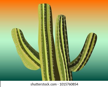 Cactus. Green Vector Cactus. Prickly Tree with Needles. Cactus for Web Design, Wallpapers, Illustrations, Postcards, Invitations, Textile, Fabrics, Tiles, Posters, Banners. Beautiful Realistic Cactus.
