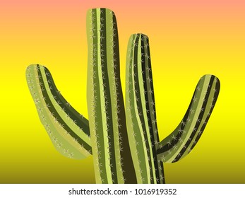 Cactus. Green Vector Cactus. Prickly Tree with Needles. Cactus for Web Design, Wallpapers, Illustrations, Postcards, Invitations, Textile, Fabrics, Tiles, Posters, Banners. Beautiful Realistic Cactus.