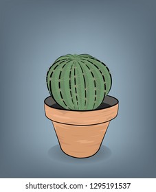 Cactus grows in a pot. vector illustration.