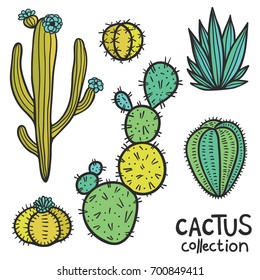 Cactus hand drawn abstract natural collection in color.