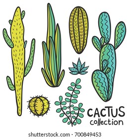 Cactus hand drawn abstract natural collection in color.