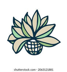 Cactus hand drawn floral illustartion, Vector isolate on white background