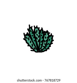 Cactus hand drawn icon isolated on white background