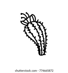 Cactus hand drawn icon isolated on white background