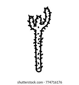 Cactus hand drawn icon isolated on white background