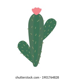 cactus hand drawn icon over white background, colorful design, vector illustration