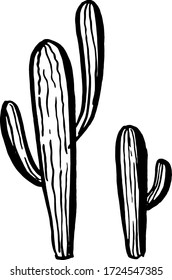 Cactus. Hand drawn illustration. Isolated element for design.