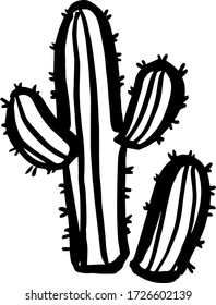 Cactus. Hand drawn illustration. Isolated element for design.