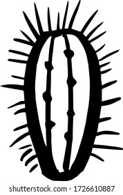 Cactus. Hand drawn illustration. Isolated element for design.