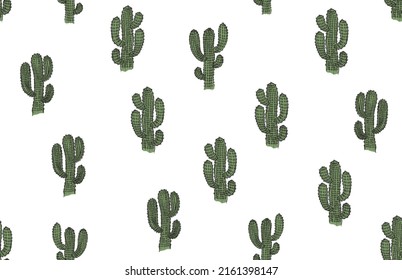 Cactus hand drawn illustration, vector.