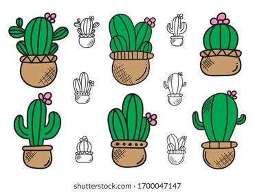 Cactus hand drawn on white background