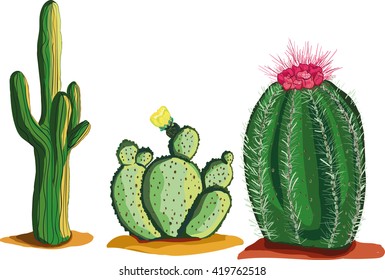 Cactus hand drawn set desert