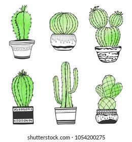 Cactus hand drawn. Set of cactus in pot isolated on white background. Stylized watercolor. EPS 10