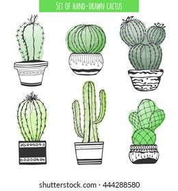 Cactus hand drawn. Set of cactus in pot isolated on white background. Stylized watercolor. EPS 10
