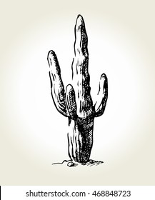 Cactus hand drawn sketch. Old engraving imitation. Vector illustration