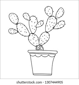 Cactus hand drawn style, isolate on white background, for kids, children coloring book, plant and education concepts. Vector Illustration