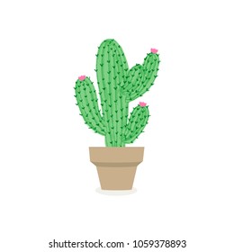 Cactus hand drawn vector illustration