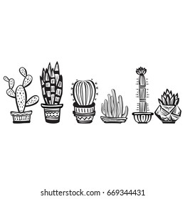 Cactus, hand drawn vector illustration